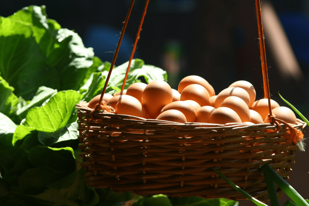 A woven basket filled with brown eggs is hanging beside lush green leaves in bright sunlight.