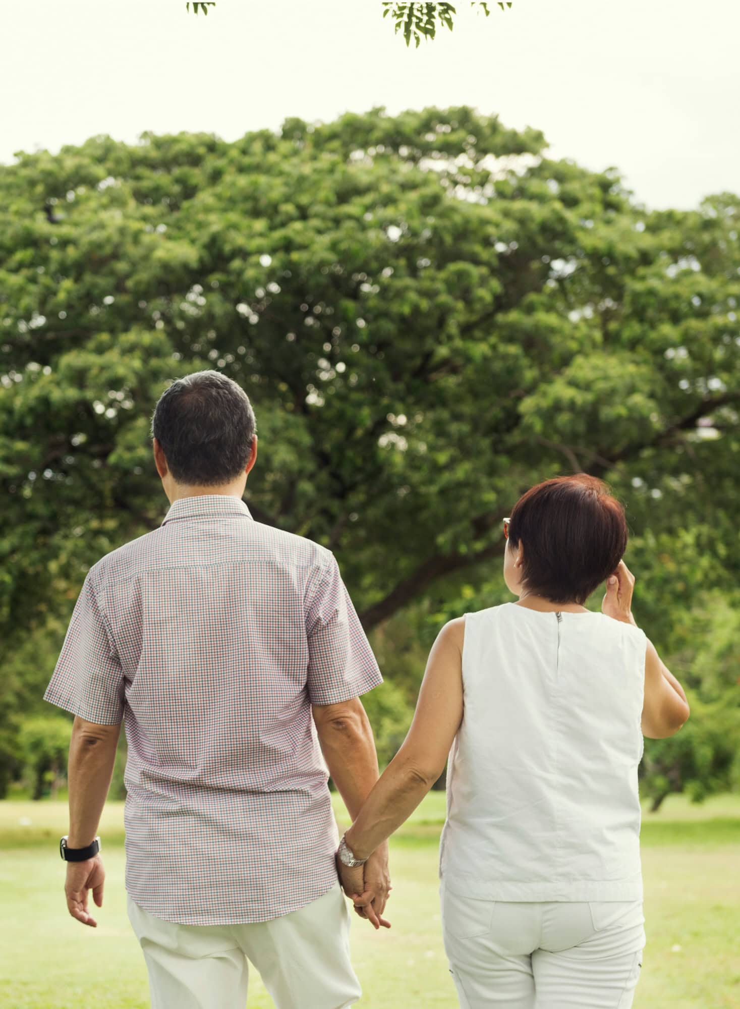 An older couple holding hands walks outdoors in a grassy park area with trees in the background, viewed from behind.