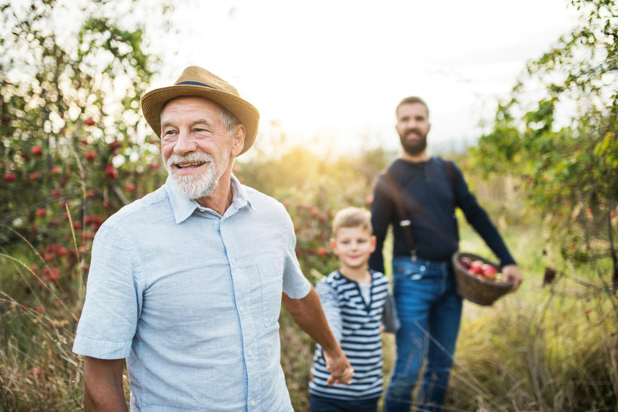 An older man, a young boy, and a bearded man with a basket of apples stand outdoors in an orchard, with apple trees and sunlight in the background.